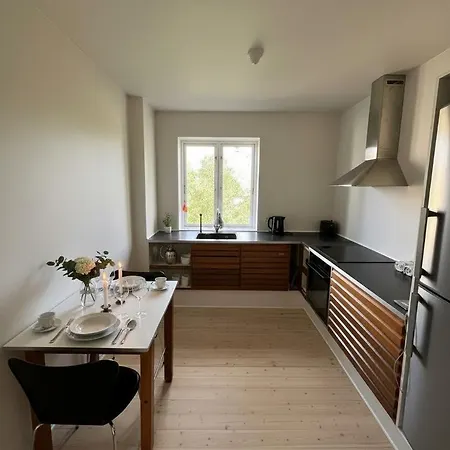 Cosy Appartement Odense
