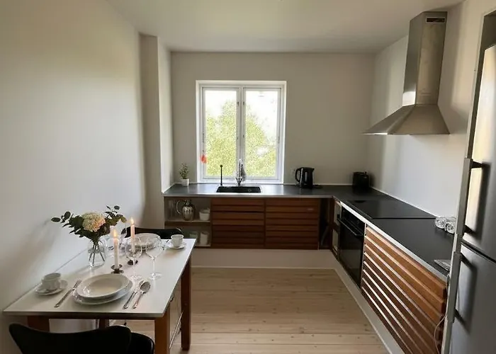 Cosy Lägenhet Odense